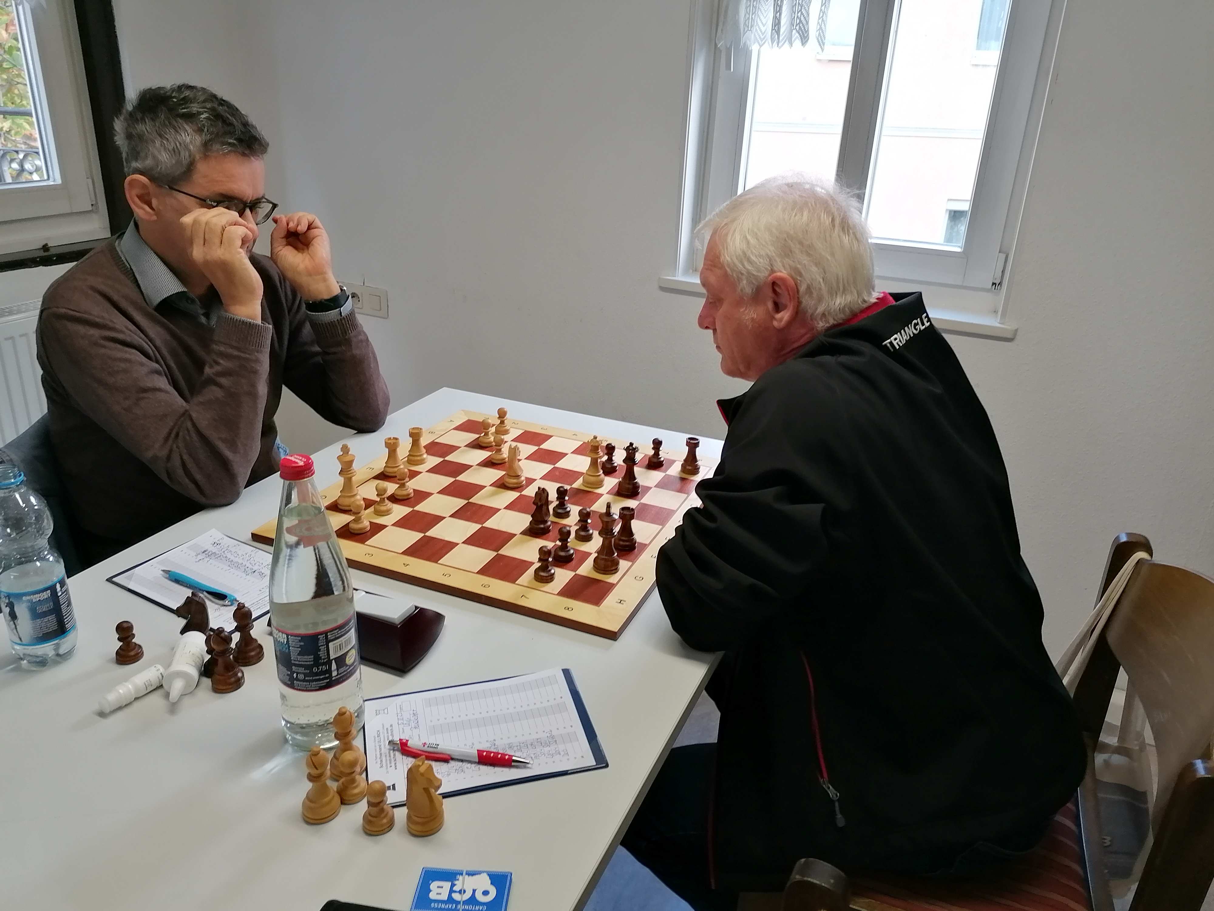Schachvereinigung Vaihingen/Enz